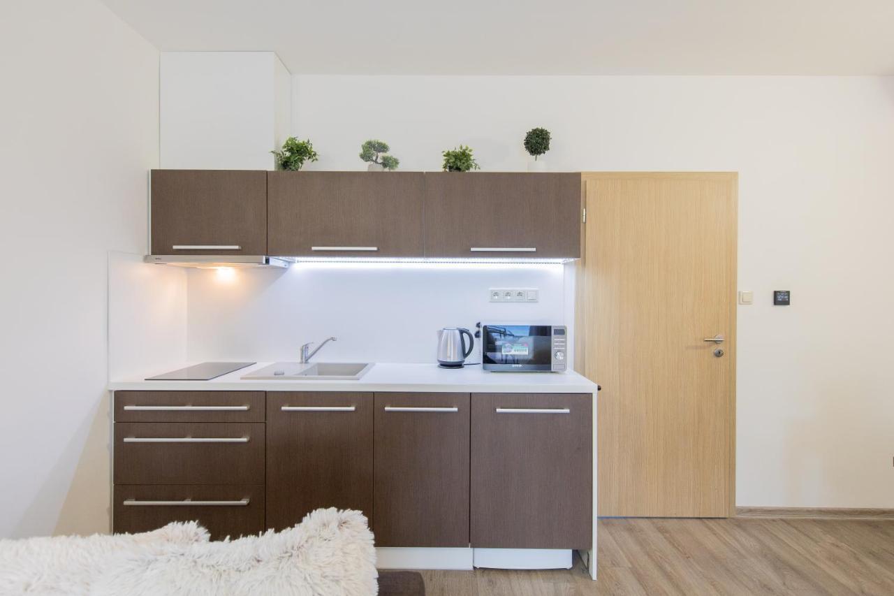 Apartman Sophia 4 S Terasou Velké Losiny Dış mekan fotoğraf